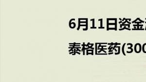 6月11日资金流向查询|泰格医药(300347)