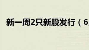 新一周2只新股发行（6月17日~6月21日）