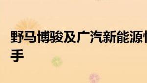 野马博骏及广汽新能源性能怎么样是否值得入手