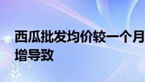 西瓜批发均价较一个月前降超三成 因产量大增导致