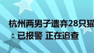 杭州两男子遗弃28只猫在宠物医院 后者回应：已报警 正在追查