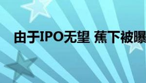 由于IPO无望 蕉下被曝公关员工全部离职