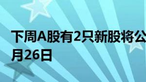 下周A股有2只新股将公布网上发行中签率（8月26日