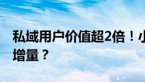 私域用户价值超2倍！小体量私域如何创造大增量？