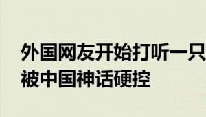 外国网友开始打听一只中国猴子 网友：老外被中国神话硬控