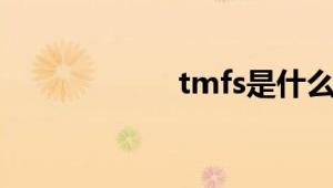 tmfs是什么文件夹