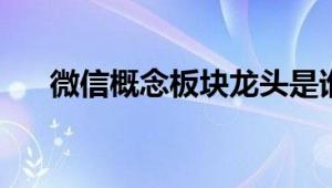 微信概念板块龙头是谁（2024/8/23）