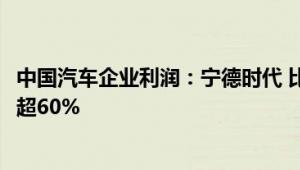 中国汽车企业利润：宁德时代 比亚迪超100亿美元 合计占比超60%