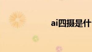 ai四摄是什么意思