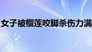 女子被榴莲咬脚杀伤力满级：脚面被尖刺划伤