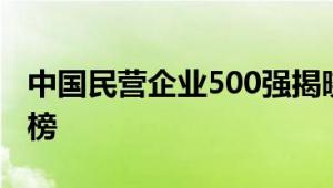 中国民营企业500强揭晓 骆驼股份连续7年上榜