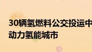 30辆氢燃料公交投运中通客车 打造首个绿色动力氢能城市