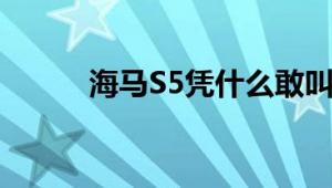 海马S5凭什么敢叫自己强动力版