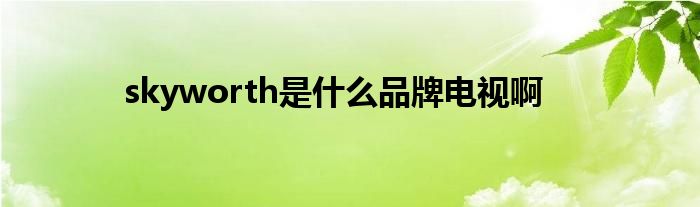 skyworth是什么品牌电视啊