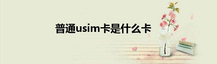 普通usim卡是什么卡