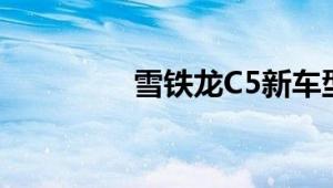 雪铁龙C5新车型基础信息