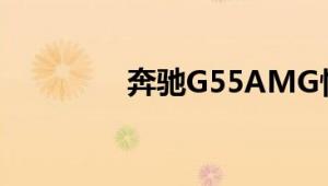 奔驰G55AMG性能怎么样