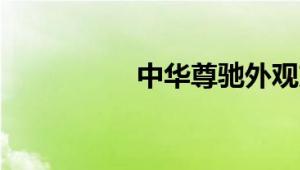 中华尊驰外观方面展示