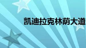 凯迪拉克林荫大道外观方面展示