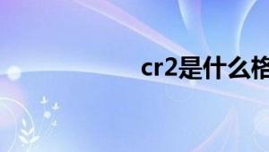 cr2是什么格式文件