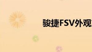 骏捷FSV外观方面展示