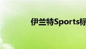 伊兰特Sports标准功能如何