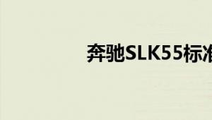 奔驰SLK55标准功能如何