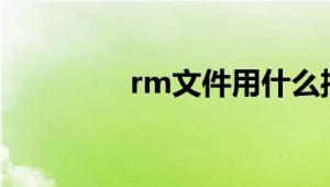 rm文件用什么播放器打开