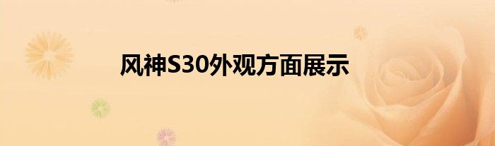 风神S30外观方面展示