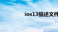 ios13描述文件在哪里找