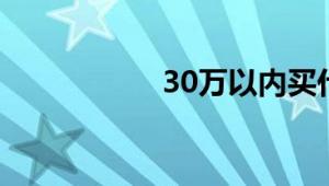 30万以内买什么车好