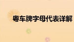 粤车牌字母代表详解：从A到Z的解读