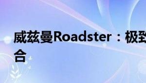 威兹曼Roadster：极致奢华与性能的完美融合