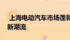  上海电动汽车市场蓬勃发展，引领绿色出行新潮流